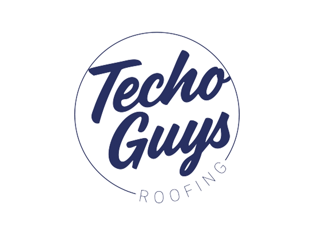 Techo Guys logo